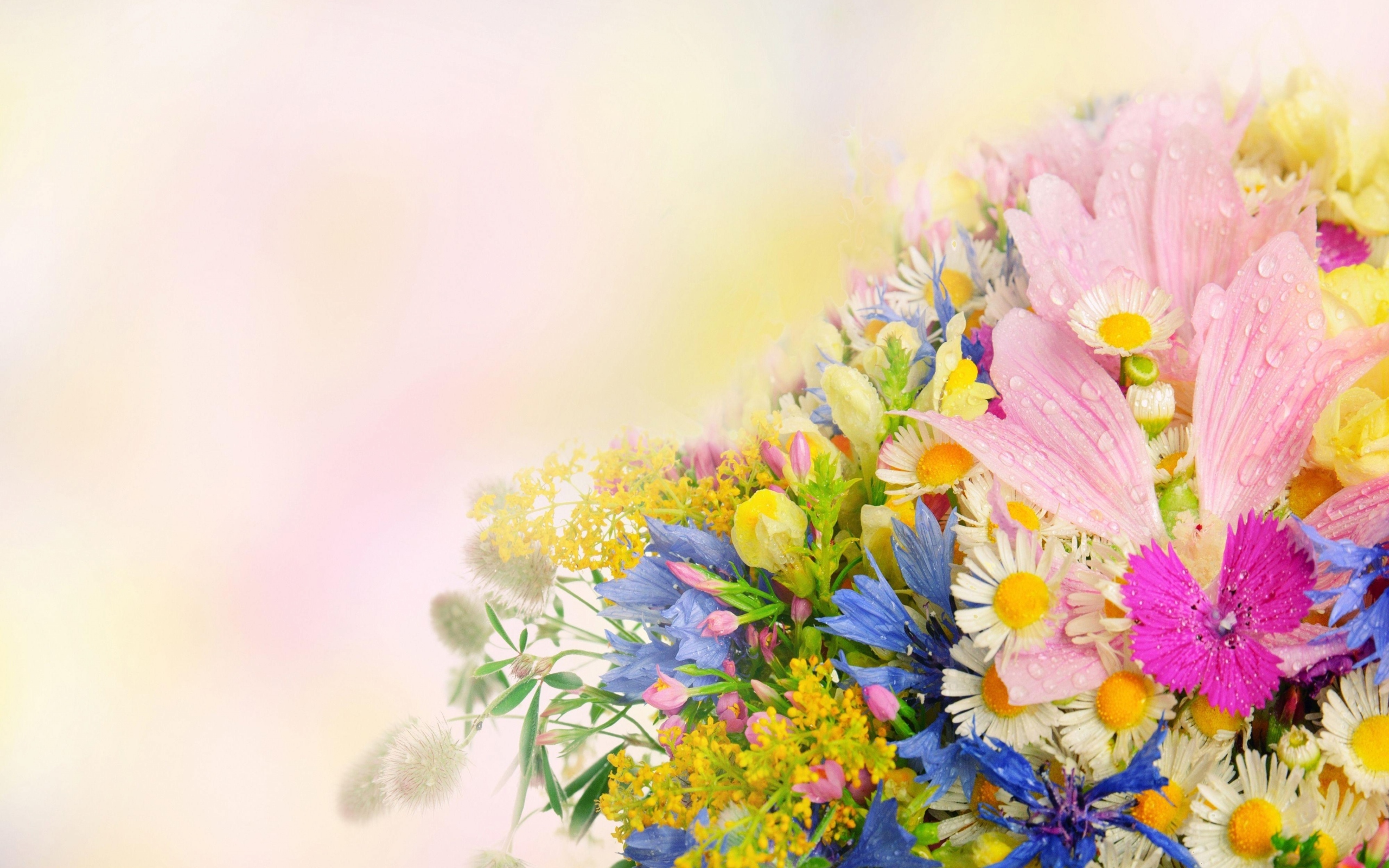 Поздравление руководителя ГИТ с Международным женским днем